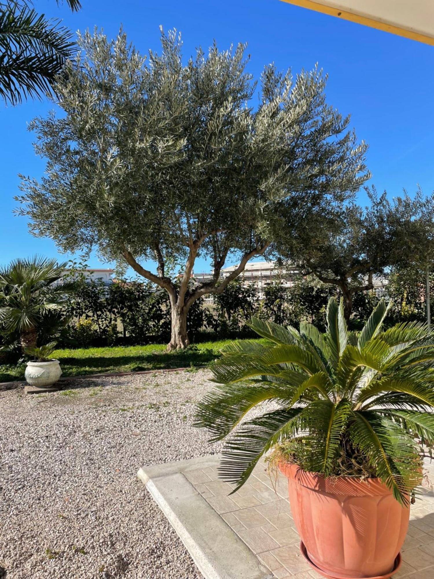 Casa Vacanze Paradise Santa Maria La Carità Exterior foto